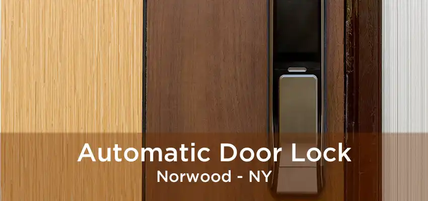 Automatic Door Lock Norwood - NY