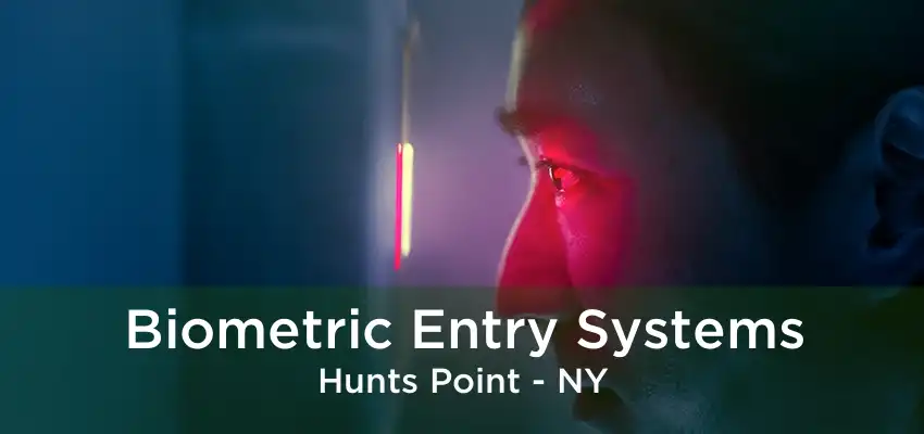 Biometric Entry Systems Hunts Point - NY