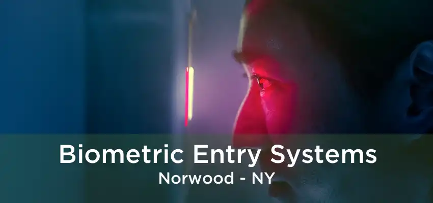 Biometric Entry Systems Norwood - NY