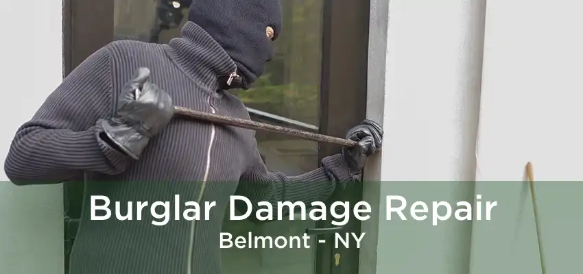 Burglar Damage Repair Belmont - NY