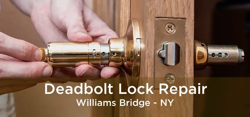 Deadbolt Lock Repair Williams Bridge - NY