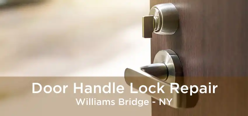 Door Handle Lock Repair Williams Bridge - NY
