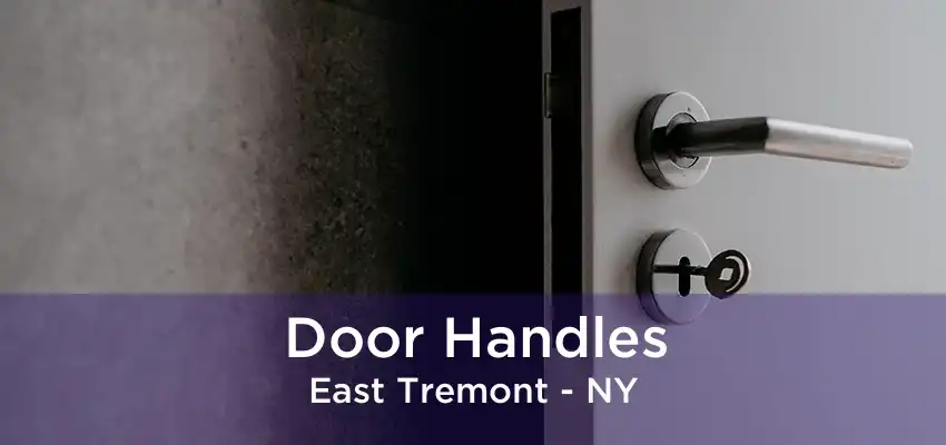 Door Handles East Tremont - NY