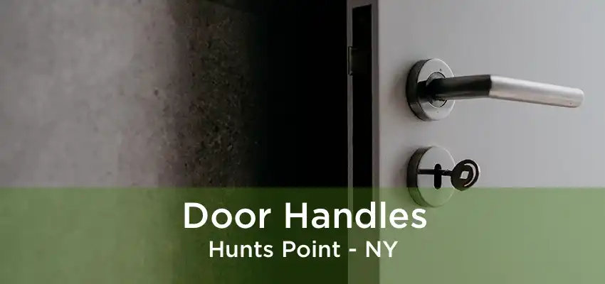 Door Handles Hunts Point - NY