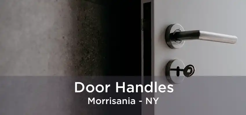 Door Handles Morrisania - NY