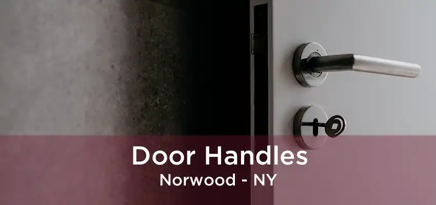 Door Handles Norwood - NY