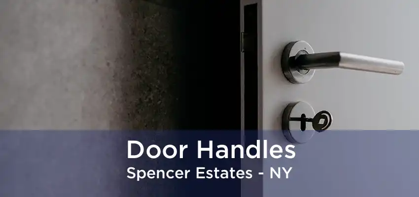 Door Handles Spencer Estates - NY