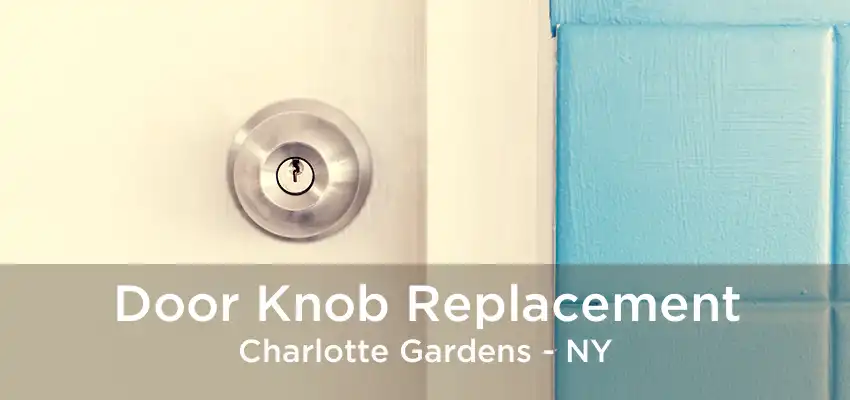 Door Knob Replacement Charlotte Gardens - NY
