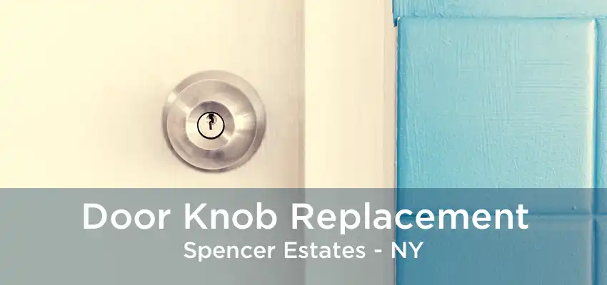 Door Knob Replacement Spencer Estates - NY