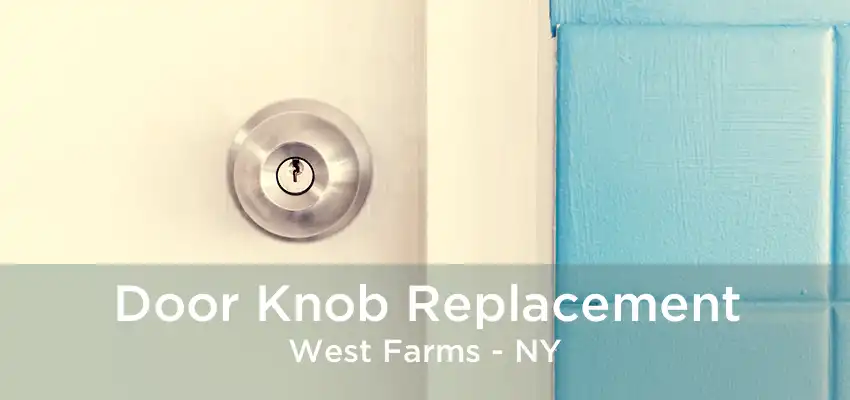 Door Knob Replacement West Farms - NY