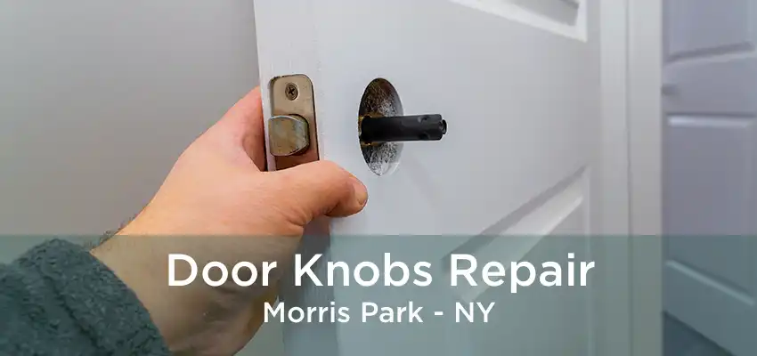 Door Knobs Repair Morris Park - NY