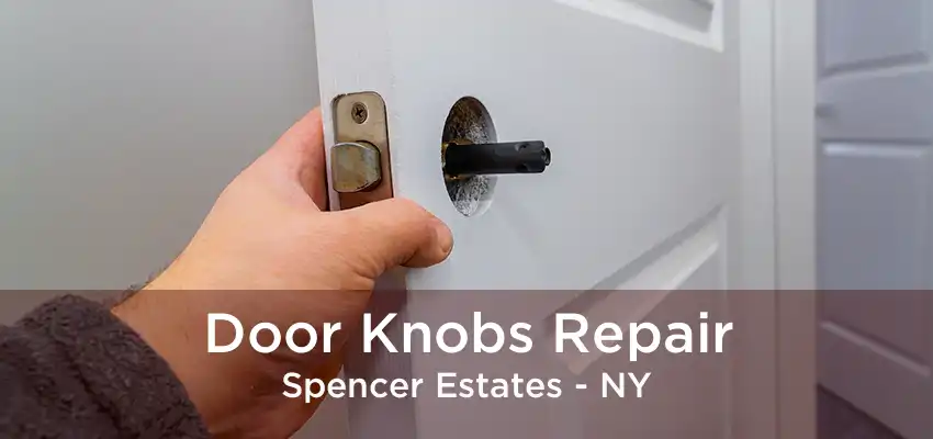 Door Knobs Repair Spencer Estates - NY