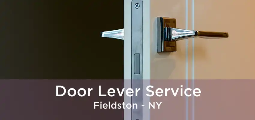Door Lever Service Fieldston - NY