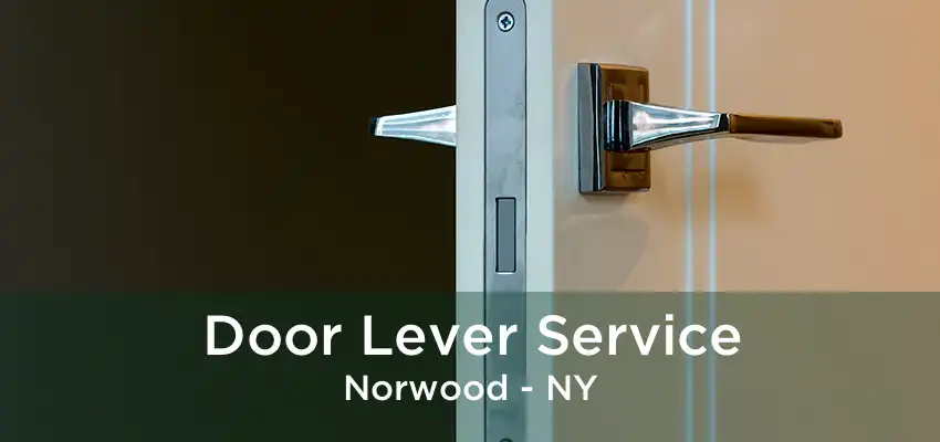 Door Lever Service Norwood - NY