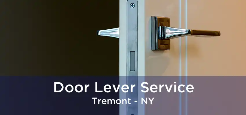 Door Lever Service Tremont - NY