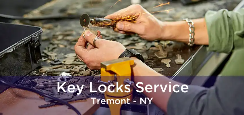 Key Locks Service Tremont - NY