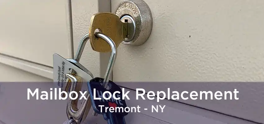 Mailbox Lock Replacement Tremont - NY