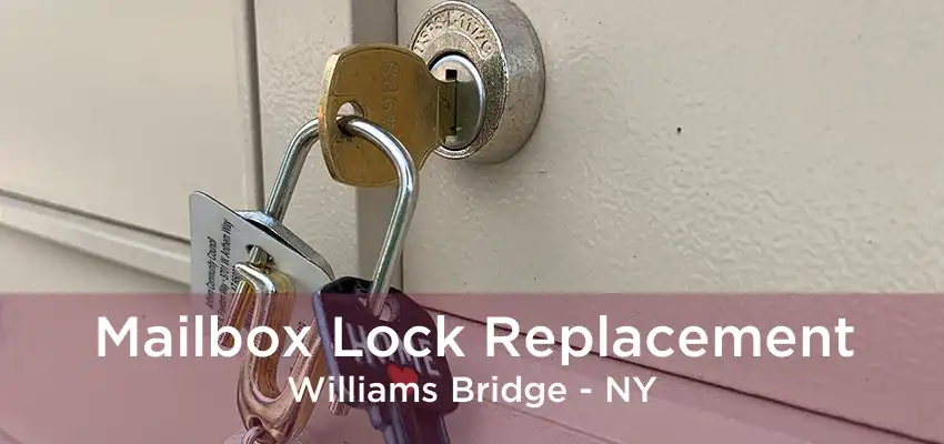 Mailbox Lock Replacement Williams Bridge - NY