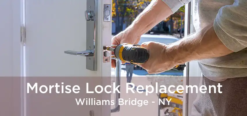 Mortise Lock Replacement Williams Bridge - NY