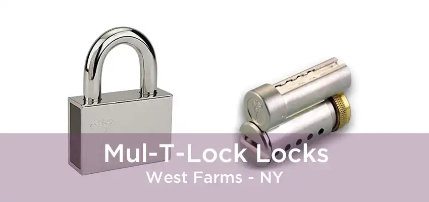 Mul-T-Lock Locks West Farms - NY