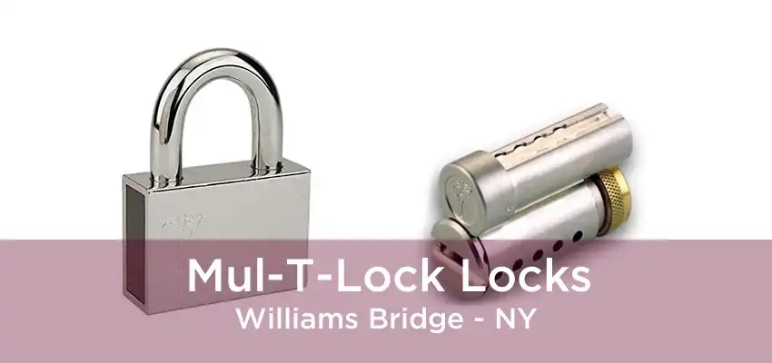 Mul-T-Lock Locks Williams Bridge - NY