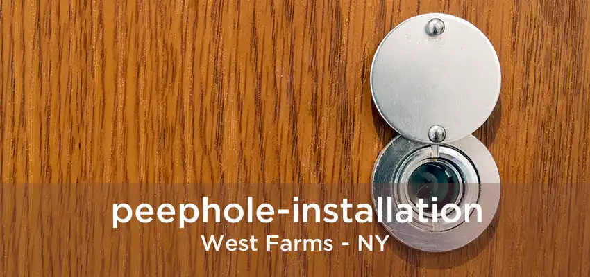 peephole-installation West Farms - NY