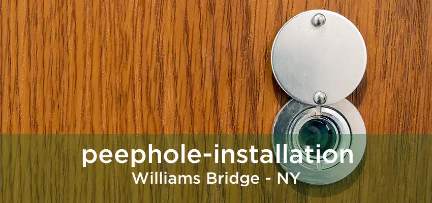 peephole-installation Williams Bridge - NY