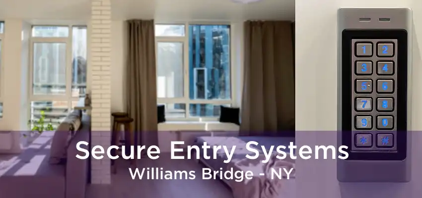 Secure Entry Systems Williams Bridge - NY