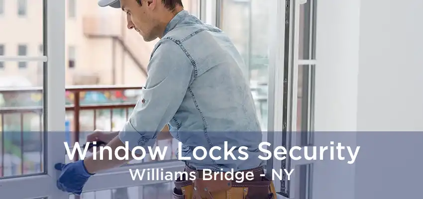 Window Locks Security Williams Bridge - NY